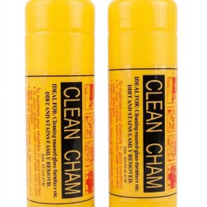 CLEAN CHAM