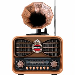 ROCK LIGHT BT & FM